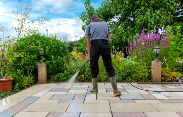 Animal Enclosure Cleaning in Ramsey, MN